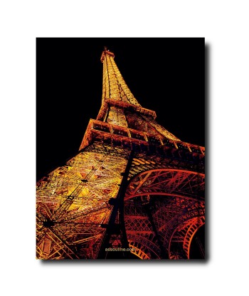 Livre Paris Chic les ligaments