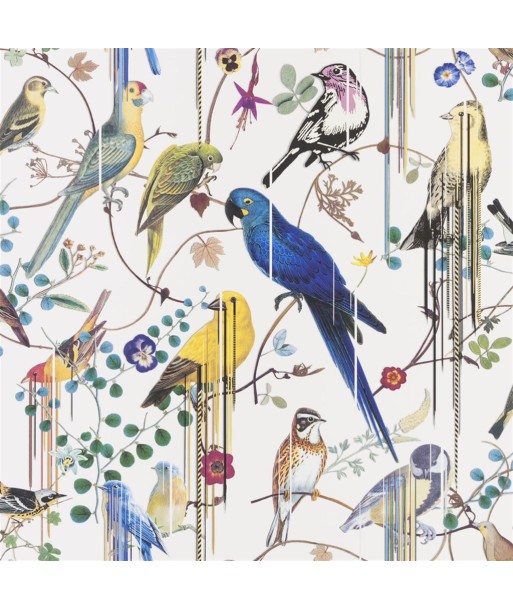 Papier Peint CL Birds Sinfonia Perce Neige shop