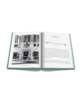 Livre Windows at Tiffany and Co.: Impossible Collection vous aussi creer 