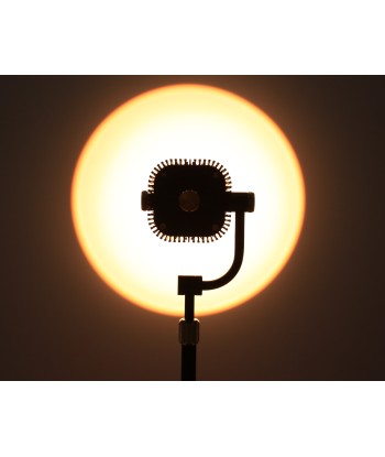 Corduroy Lampe de Bureau OAS Noir et Or 24k online