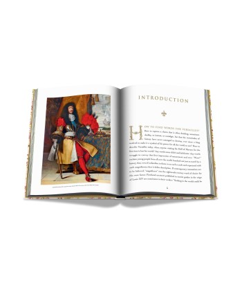 Livre Versailles - From Louis XIV to Jeff Koons: Impossible collection du meilleur 