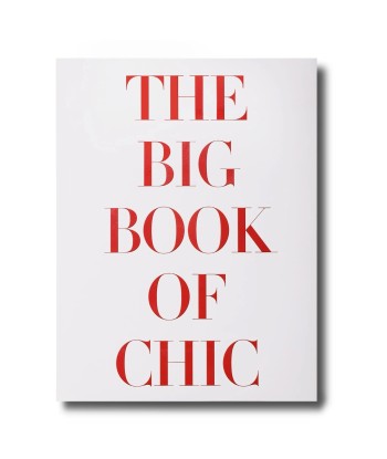 Livre The Big Book of Chic vente chaude votre 