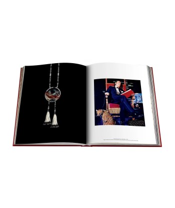 Livre Cartier Panthère online