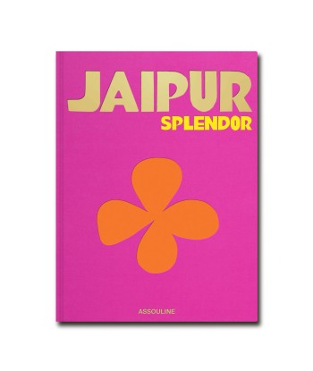 Livre Jaipur Amélioration de cerveau avec