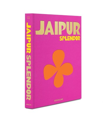 Livre Jaipur Amélioration de cerveau avec