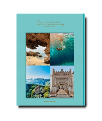 Livre Red Sea: The Saudi Coast pas cher