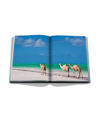 Livre Red Sea: The Saudi Coast pas cher