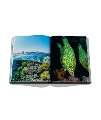 Livre Red Sea: The Saudi Coast pas cher