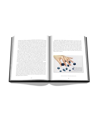 Livre Tiffany & Co. Vision and Virtuosity (Ultimate Edition): Impossible Collection les muscles