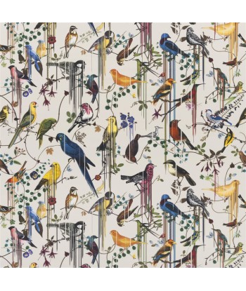 Tissu Birds Sinfonia Jonc Venez acheter