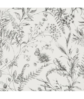 Papier Peint RL Fern Toile - Etched Black Comparez plus de prix