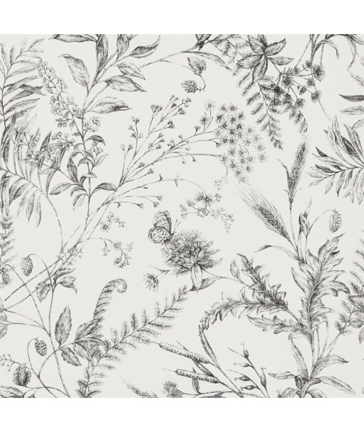 Papier Peint RL Fern Toile - Etched Black Comparez plus de prix