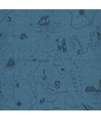 Papier Peint RL Shipping Lanes Map - Atlantic les muscles