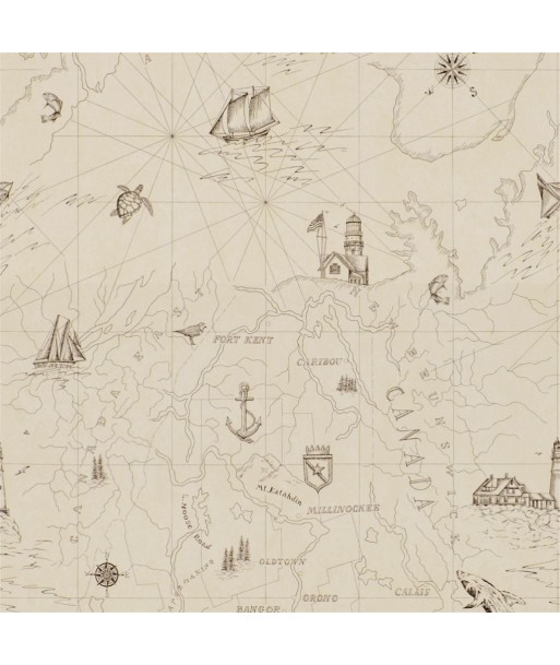 Papier Peint RL Shipping Lanes Map - Bone la livraison gratuite