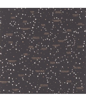 Papier Peint RL Starry Sky Black de votre