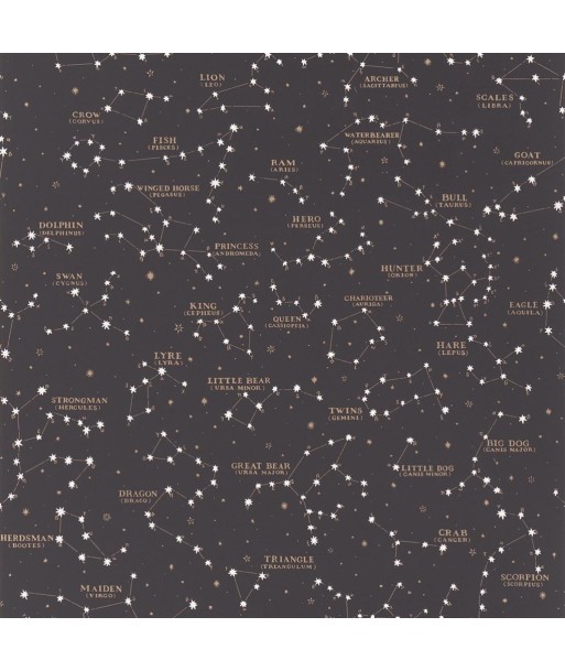 Papier Peint RL Starry Sky Black de votre