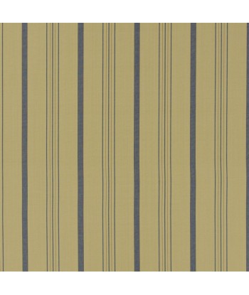 Tissu RL Averill Ticking Stripe - Denim de l' environnement