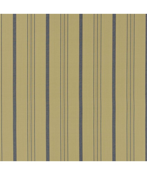 Tissu RL Averill Ticking Stripe - Denim de l' environnement