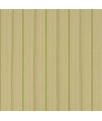 Tissu RL Averill Ticking Stripe - Fern meilleur choix