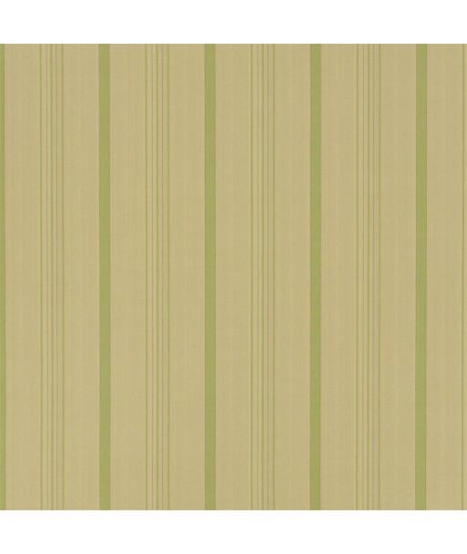 Tissu RL Averill Ticking Stripe - Fern meilleur choix