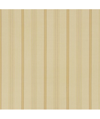 Tissu RL Averill Ticking Stripe - Maize une grave pollution 