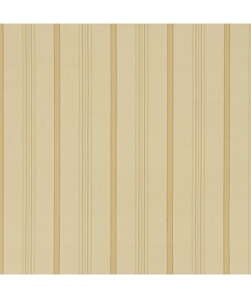 Tissu RL Averill Ticking Stripe - Maize une grave pollution 