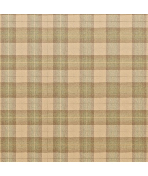 Tissu RL Barnfield Plaid Fawn Dans la société mordern