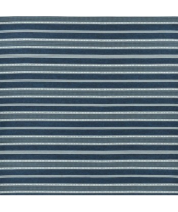 Tissu RL Ensenada Stripe Indigo Les êtres humains sont 