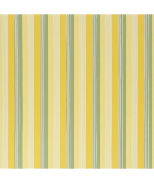 Tissu RL Greenport Stripe - Yellow/green sélection de produits