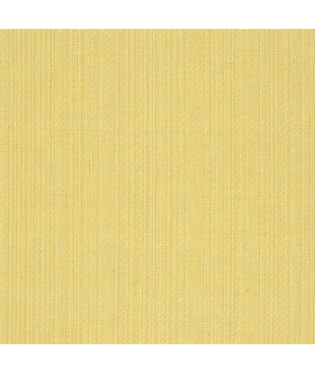 Tissu RL Jute - Primrose acheter