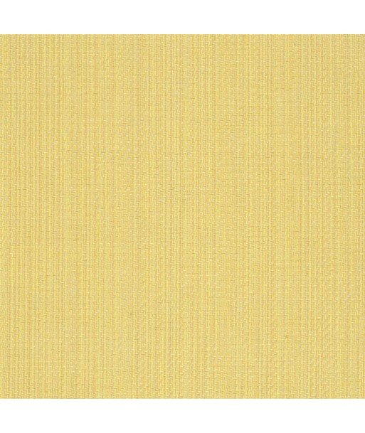 Tissu RL Jute - Primrose acheter