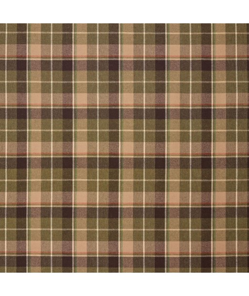 Tissu RL Kilchurn Plaid Moss pour bénéficier 