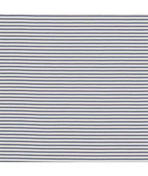 Tissu RL Phebe Ticking Navy les muscles