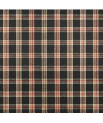 Tissu RL Refinery Plaid Cinder une grave pollution 