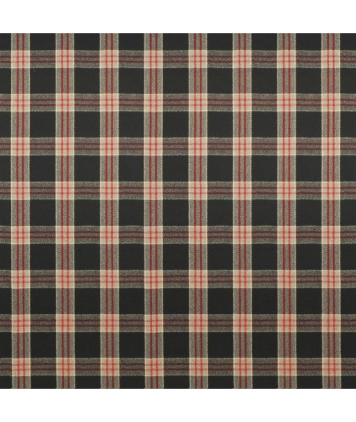 Tissu RL Refinery Plaid Cinder une grave pollution 