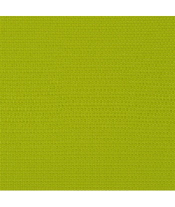 Tissu RL Salt Marsh Lime livraison et retour toujours gratuits