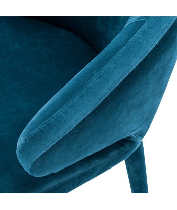 Chaise De Salle A Manger Cardinale Velours Roche Bleu Sarcelle prix