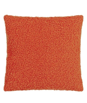 Coussin DG Cormo Persimmon Boucle vente chaude votre 