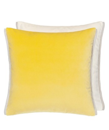 Coussin DG Varese Alchemilla & Parchment Velvet Dans la société mordern