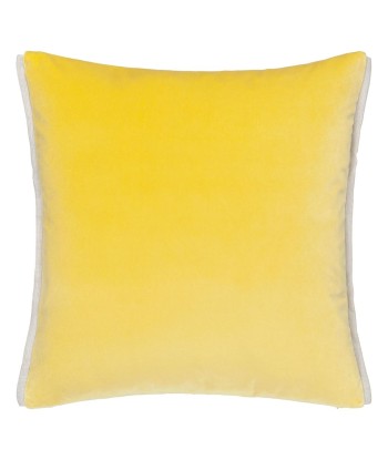 Coussin DG Varese Alchemilla & Parchment Velvet Dans la société mordern