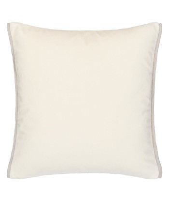 Coussin DG Varese Alchemilla & Parchment Velvet Dans la société mordern