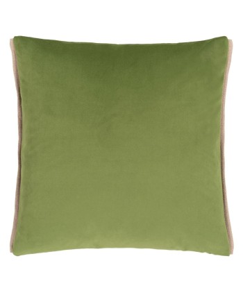 Coussin DG Velluto Emerald de l' environnement