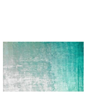 Tapis Eberson Aqua l'achat 