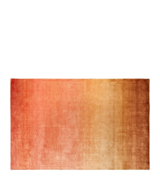 Tapis Savoie Coral acheter