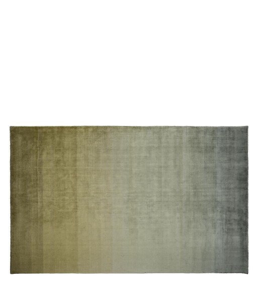 Tapis Savoie Olive pas cher 