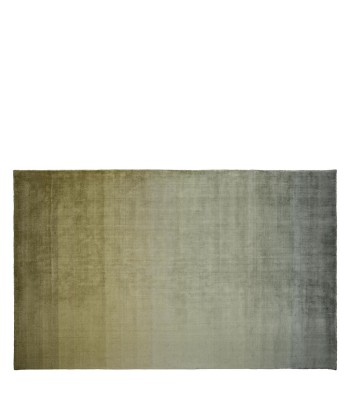 Tapis Savoie Olive pas cher 