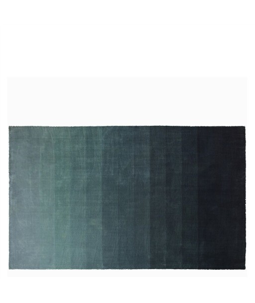 Tapis Capisoli Teal rembourrage situé sous