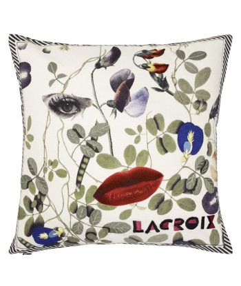 Coussin Dame Nature Printemps suggérées chez