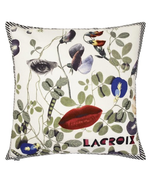 Coussin Dame Nature Printemps suggérées chez