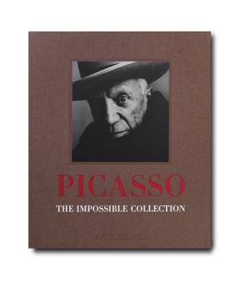 Livre Pablo Picasso: Impossible collection Par le système avancé 